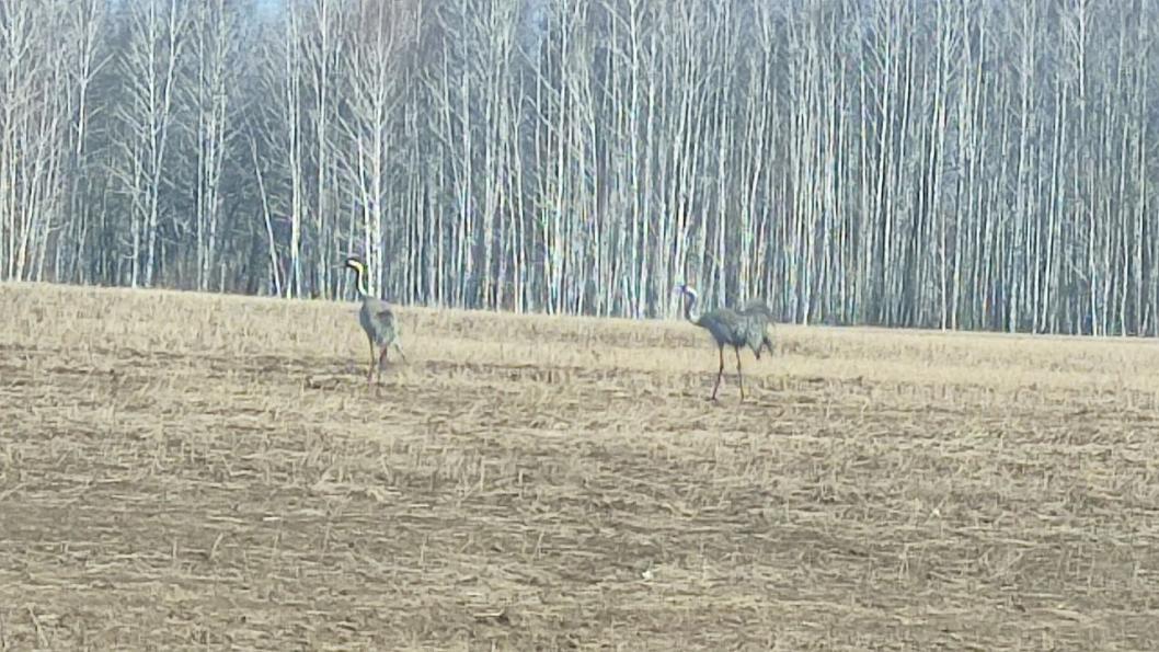 Фото Георгия Журавлева, ИА «Тюменская линия»
