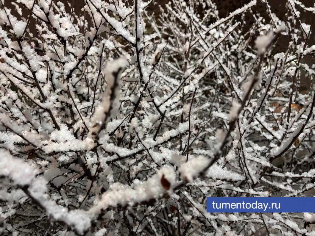 Фото Дениса Моргунова