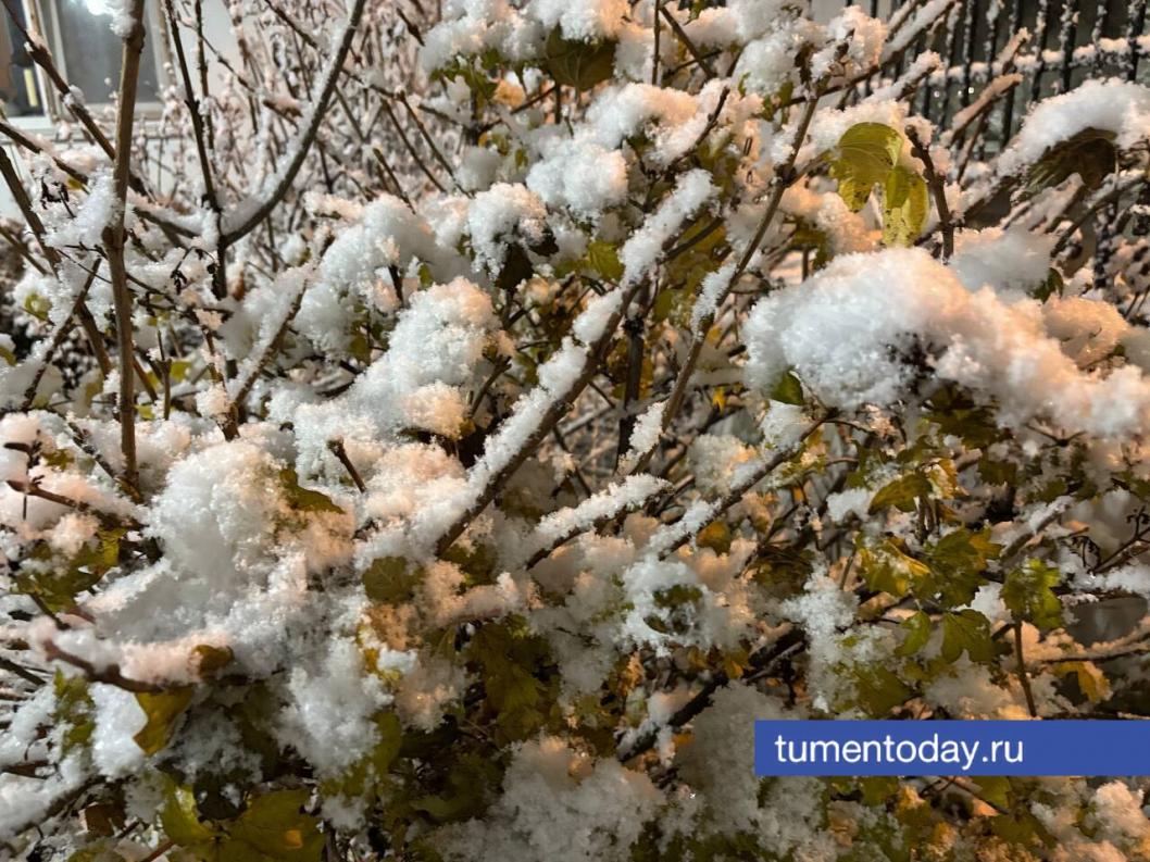 Фото Дениса Моргунова