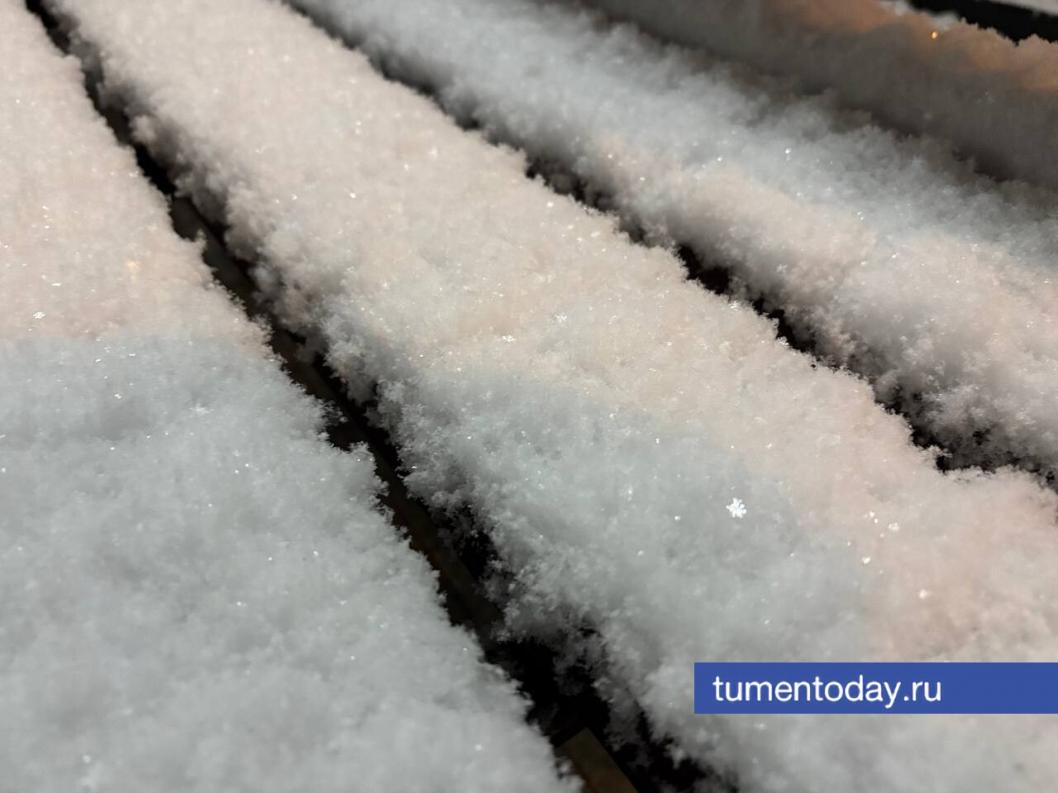 Фото Дениса Моргунова