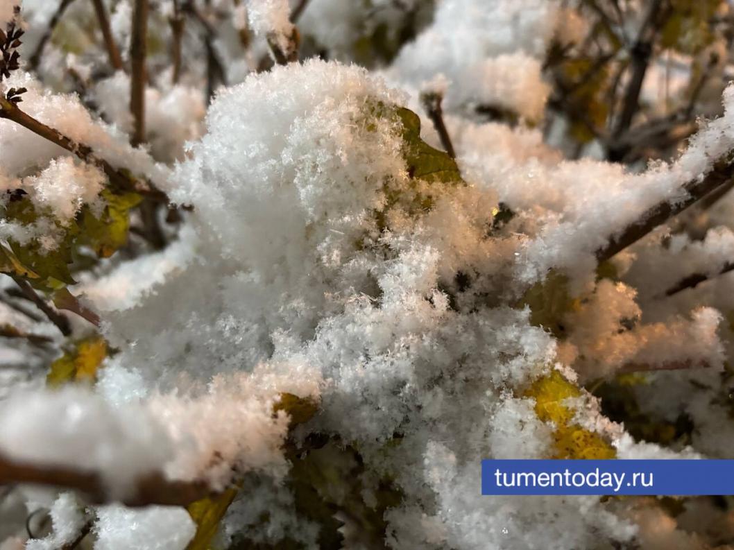 Фото Дениса Моргунова