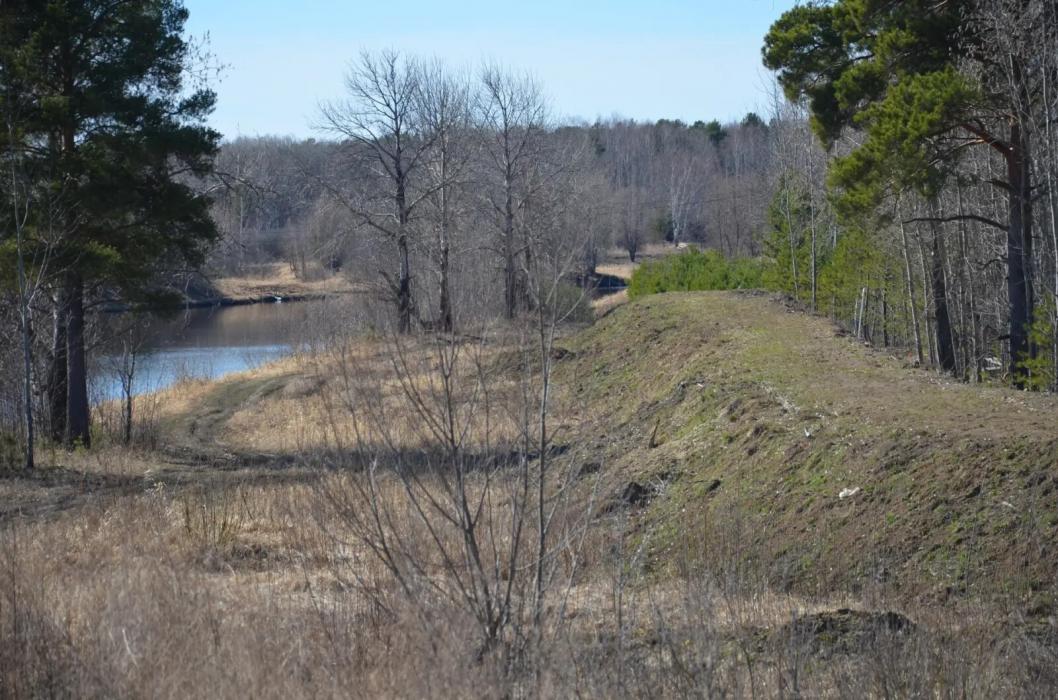 Фото ИИЦ «Светлый путь». Автор неизвестен