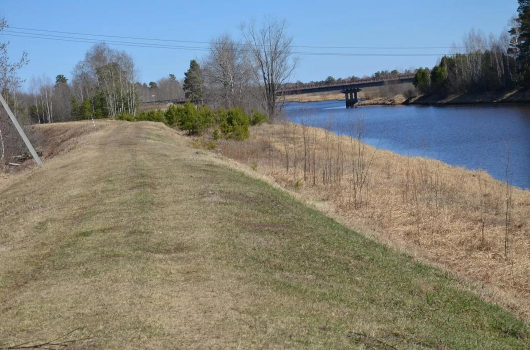 Фото ИИЦ «Светлый путь». Автор неизвестен