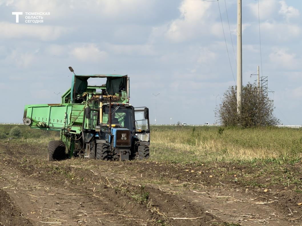 Фото Дарьи Булыги