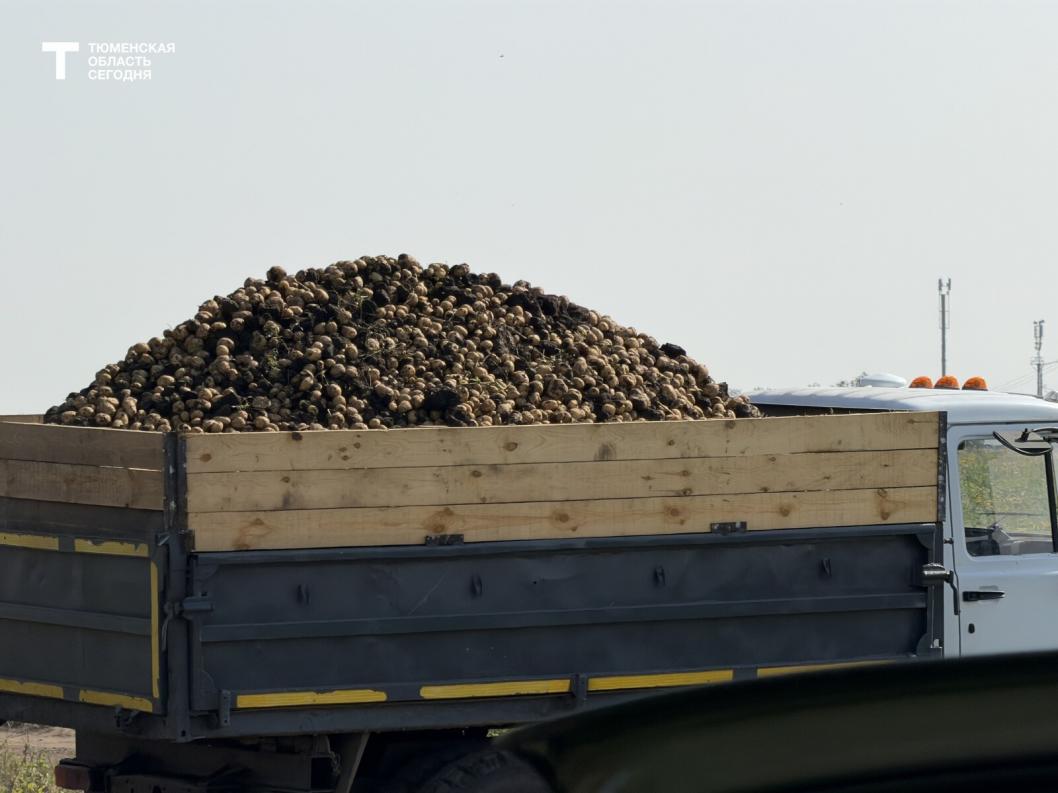 Фото Дарьи Булыги