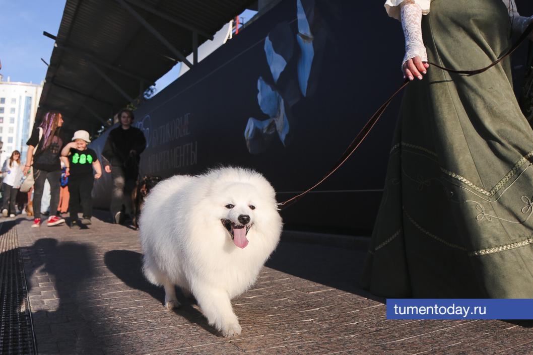 Фото Дениса Моргунова