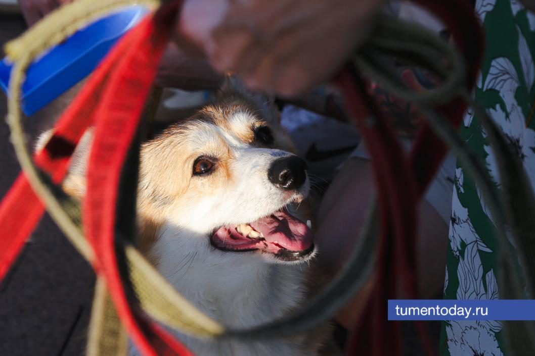 Фото Дениса Моргунова