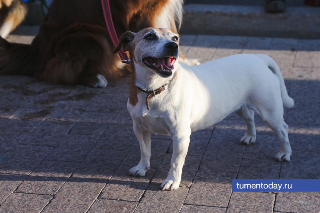 Фото Дениса Моргунова