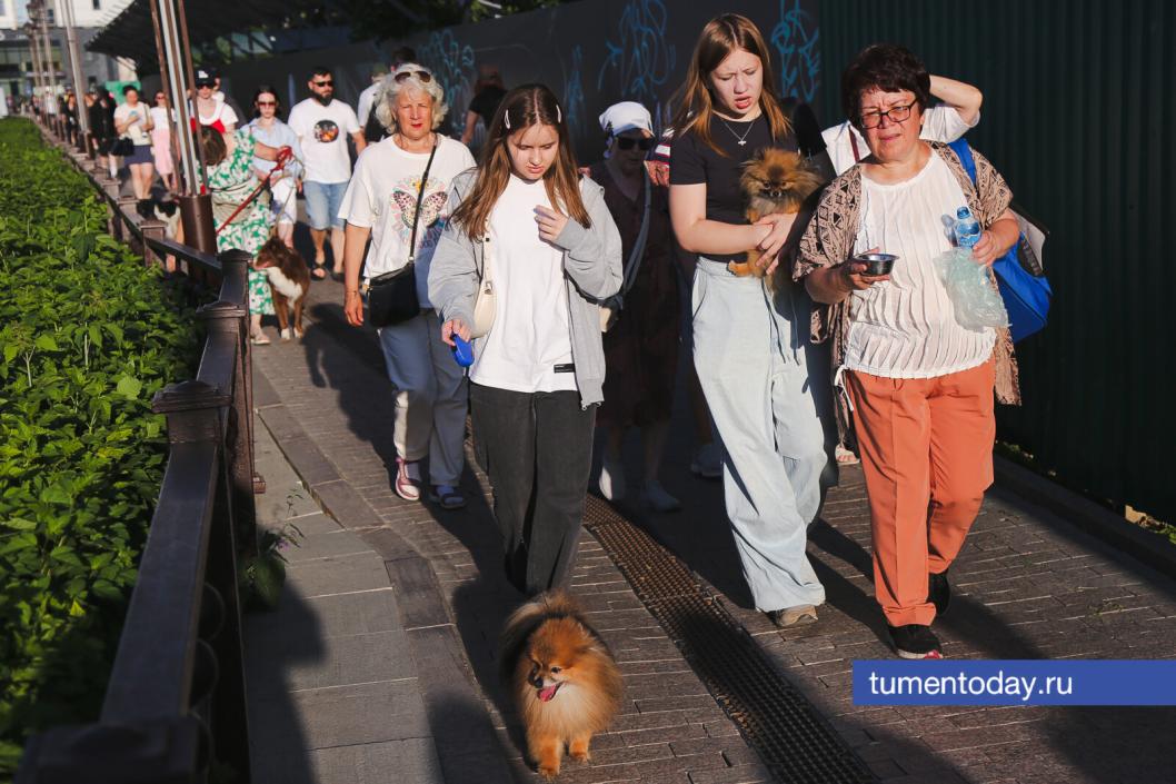 Фото Дениса Моргунова