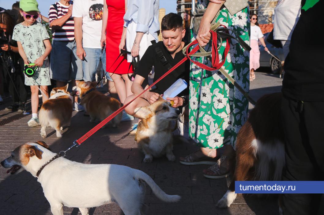 Фото Дениса Моргунова