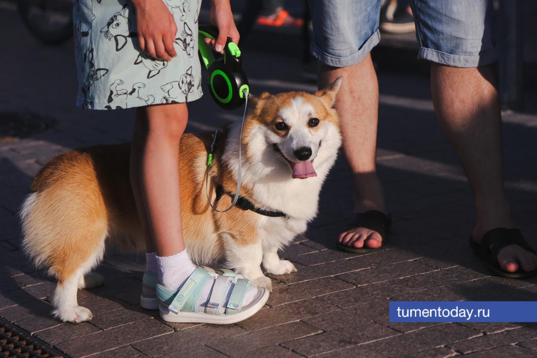 Фото Дениса Моргунова