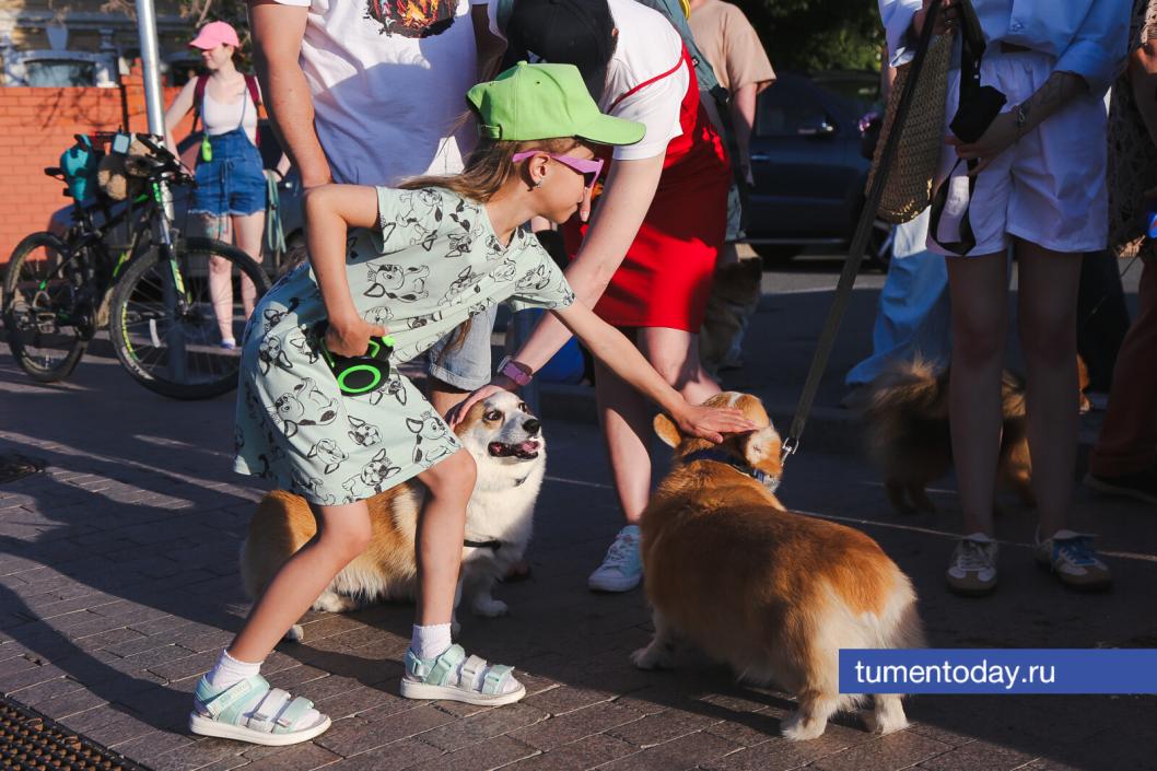 Фото Дениса Моргунова