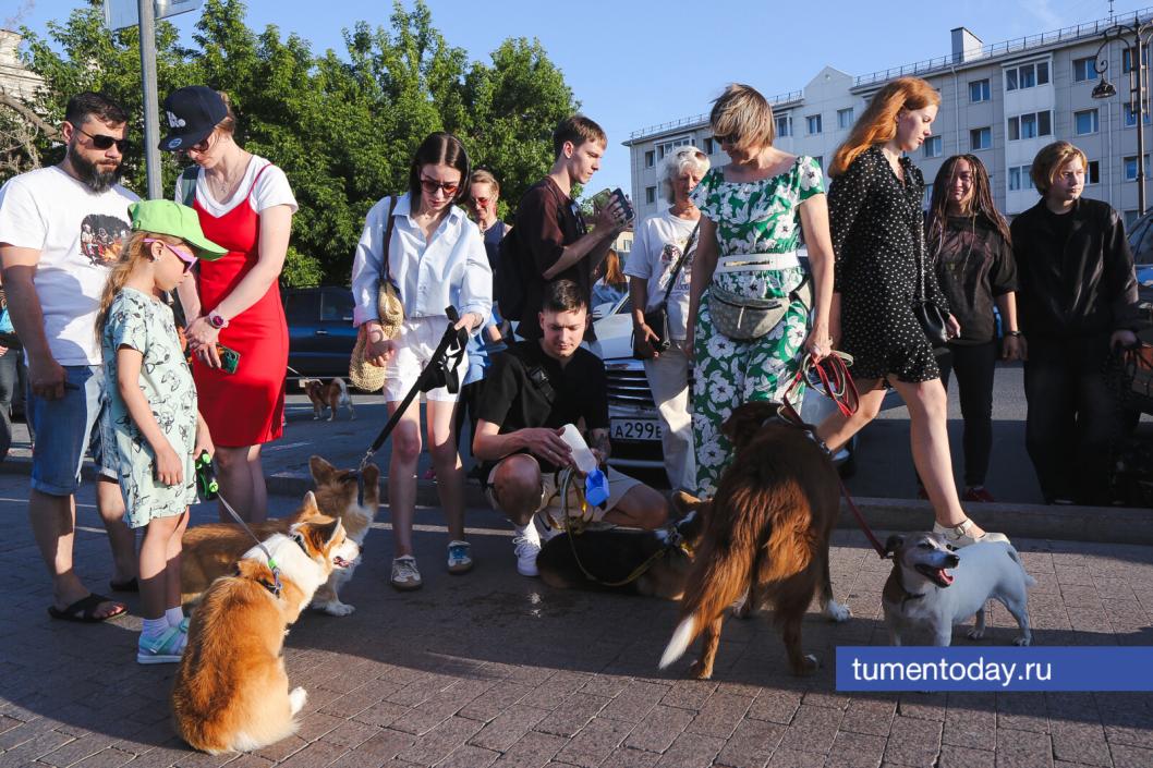 Фото Дениса Моргунова