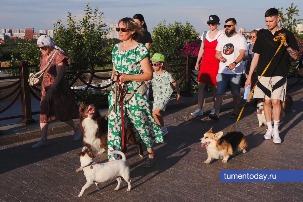 Фото Дениса Моргунова