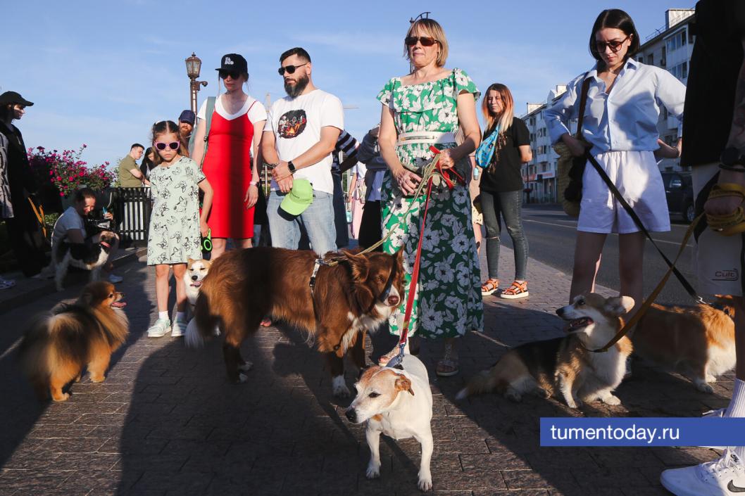 Фото Дениса Моргунова