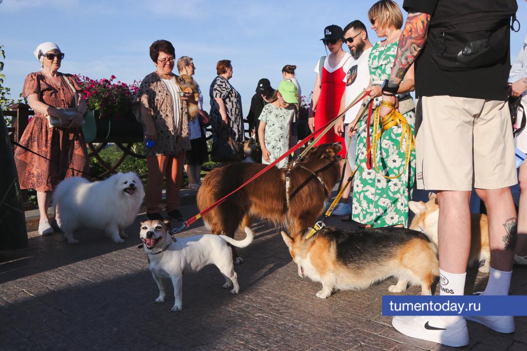 Фото Дениса Моргунова