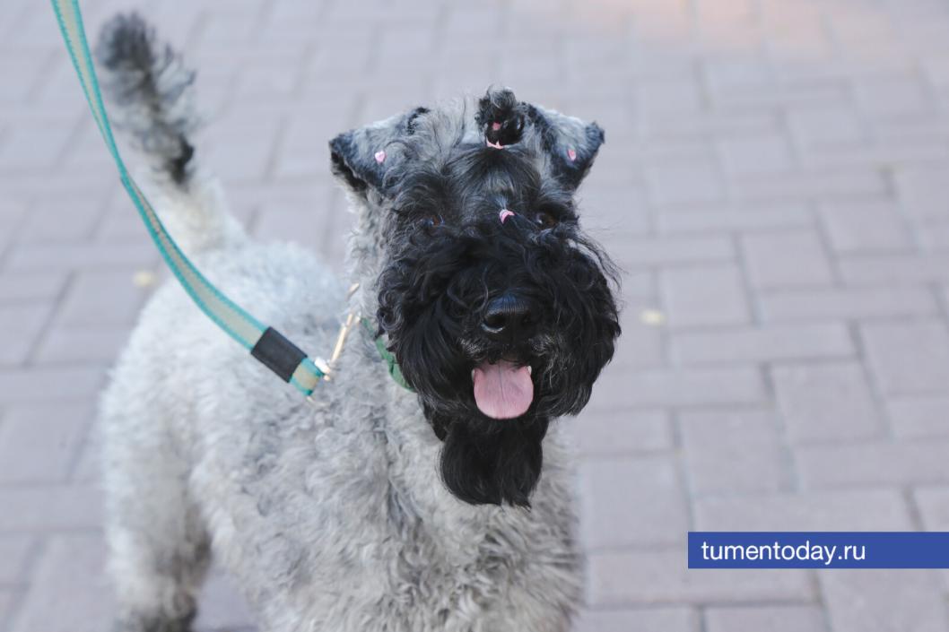 Фото Дениса Моргунова