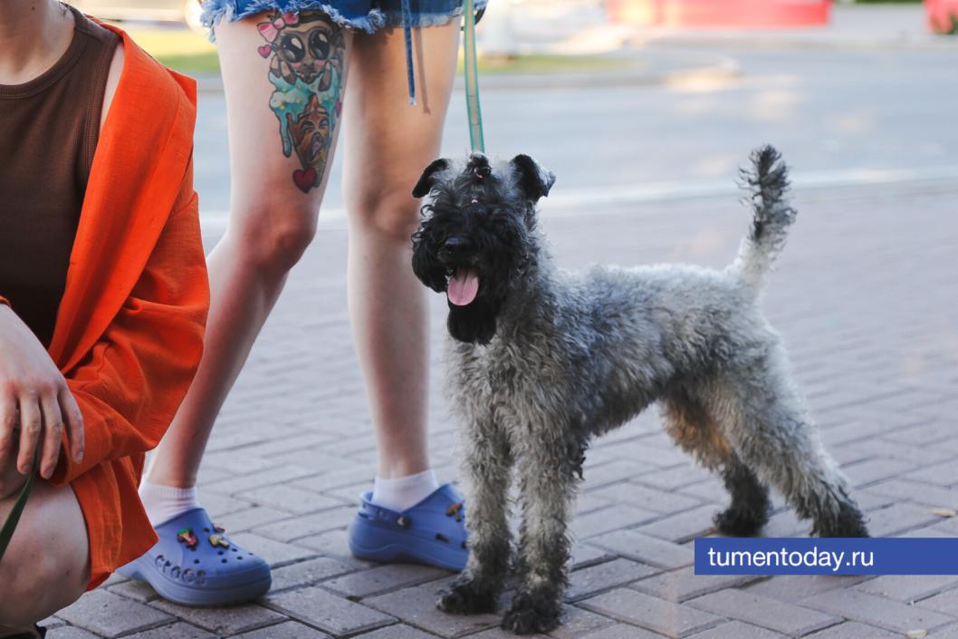 Фото Дениса Моргунова