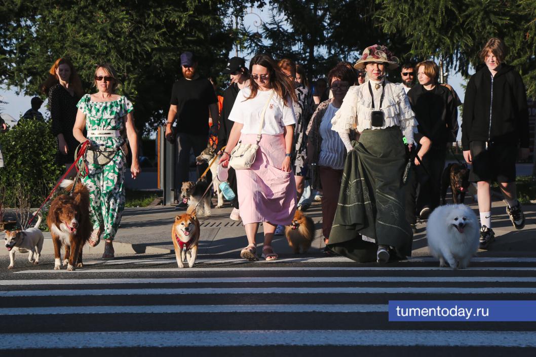 Фото Дениса Моргунова