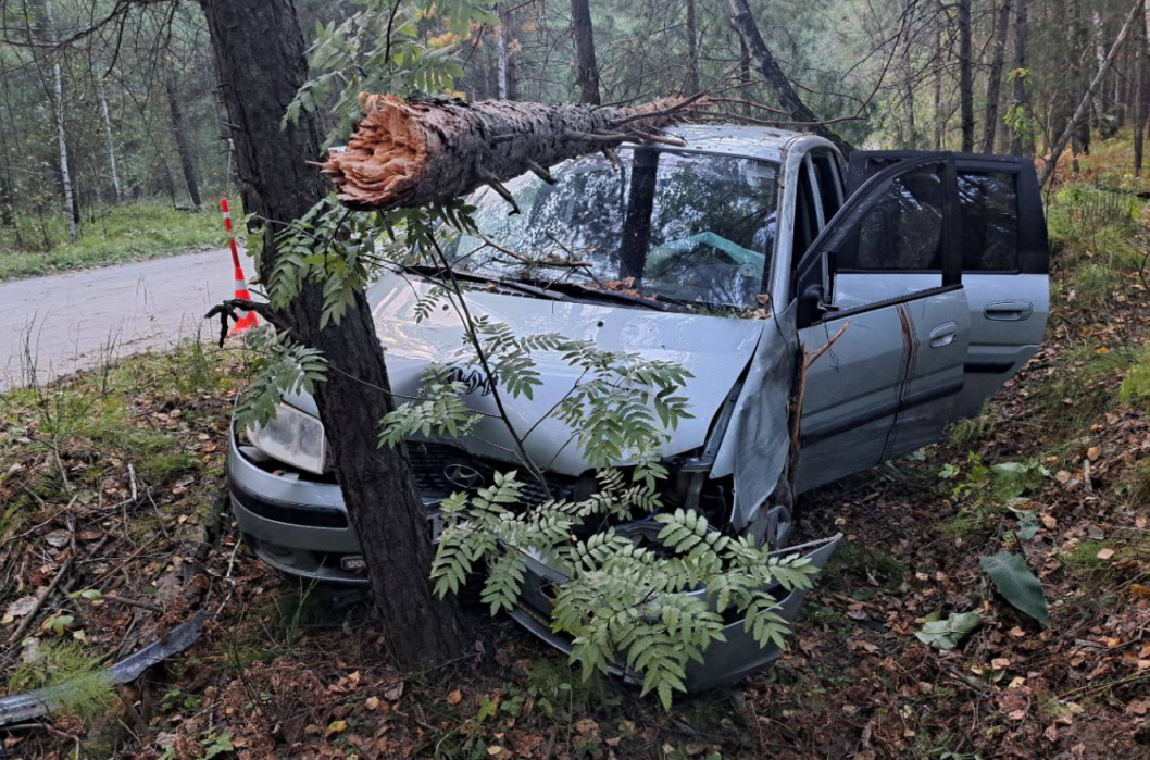 Фото Госавтоинспекции Тюменской области