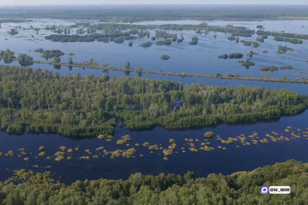 Фото из канала Александра Моора в МАКС, автор неизвестен