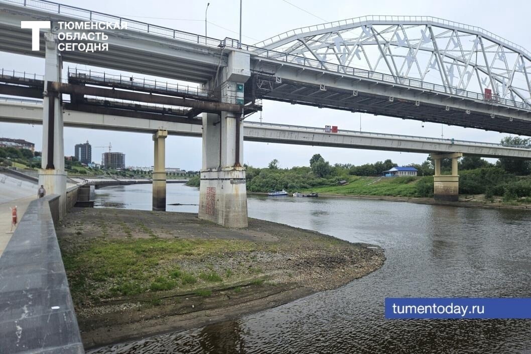 Фото Артемия Романова