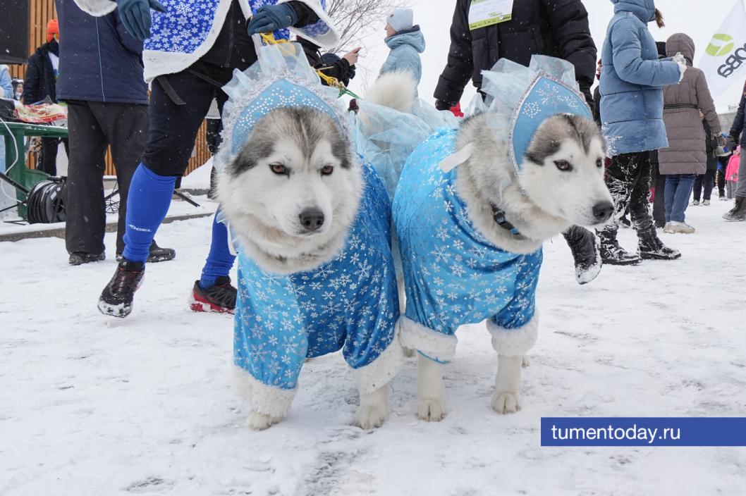 Фото Екатерины Христозовой