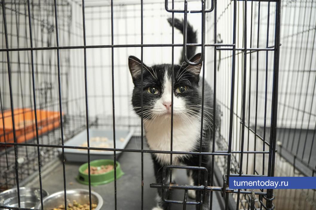 Фото Екатерины Христозовой