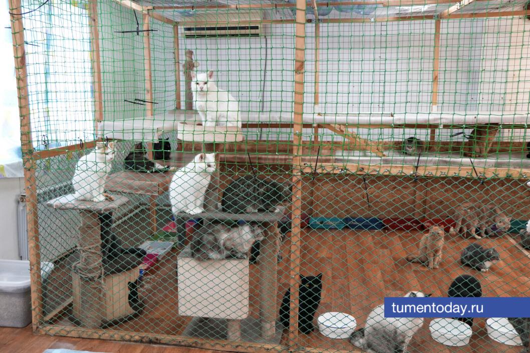 Фото Екатерины Христозовой