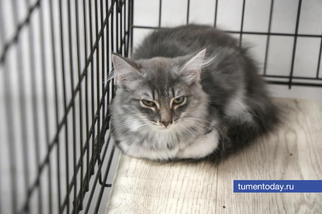 Фото Екатерины Христозовой