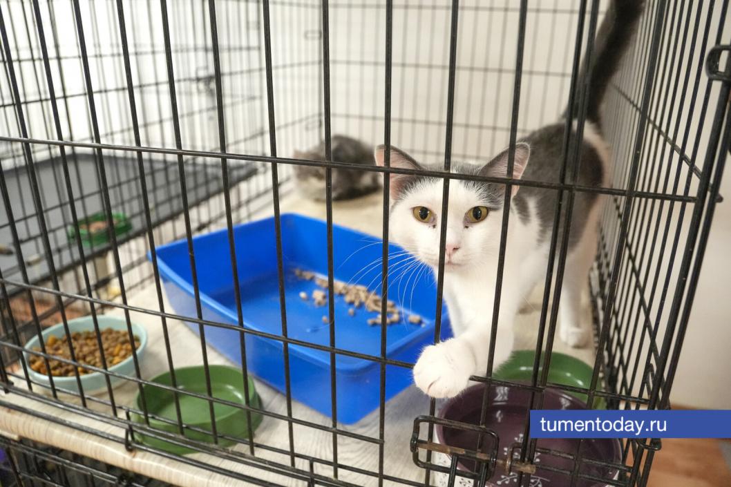 Фото Екатерины Христозовой