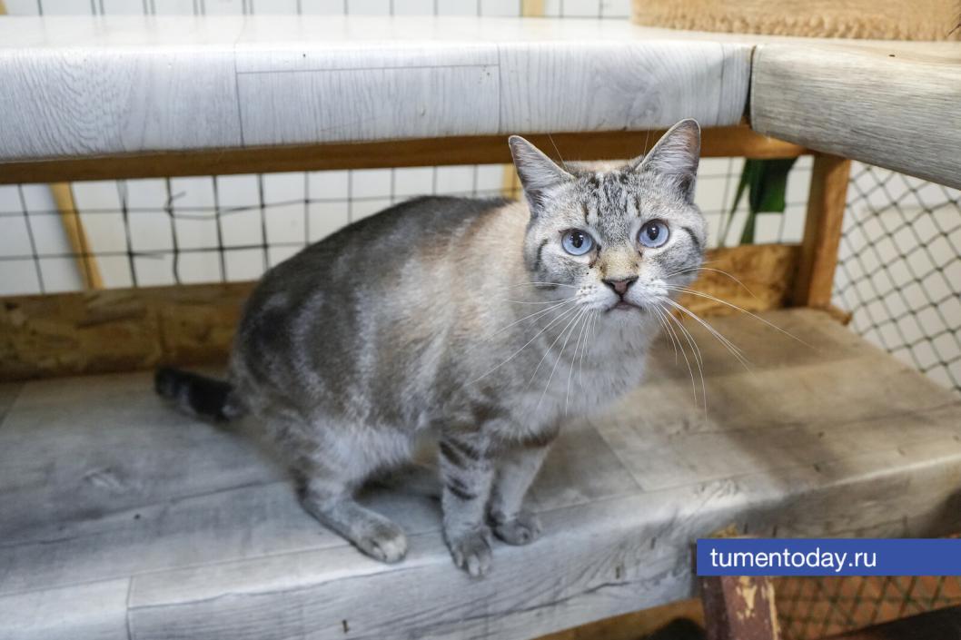 Фото Екатерины Христозовой