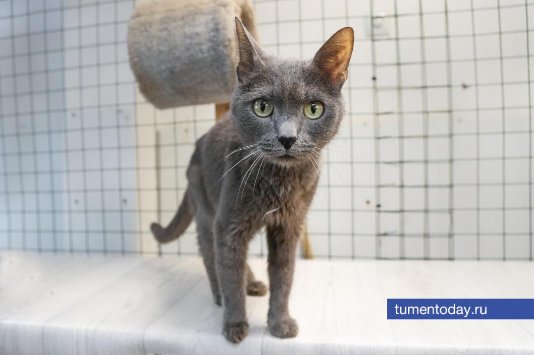 Фото Екатерины Христозовой