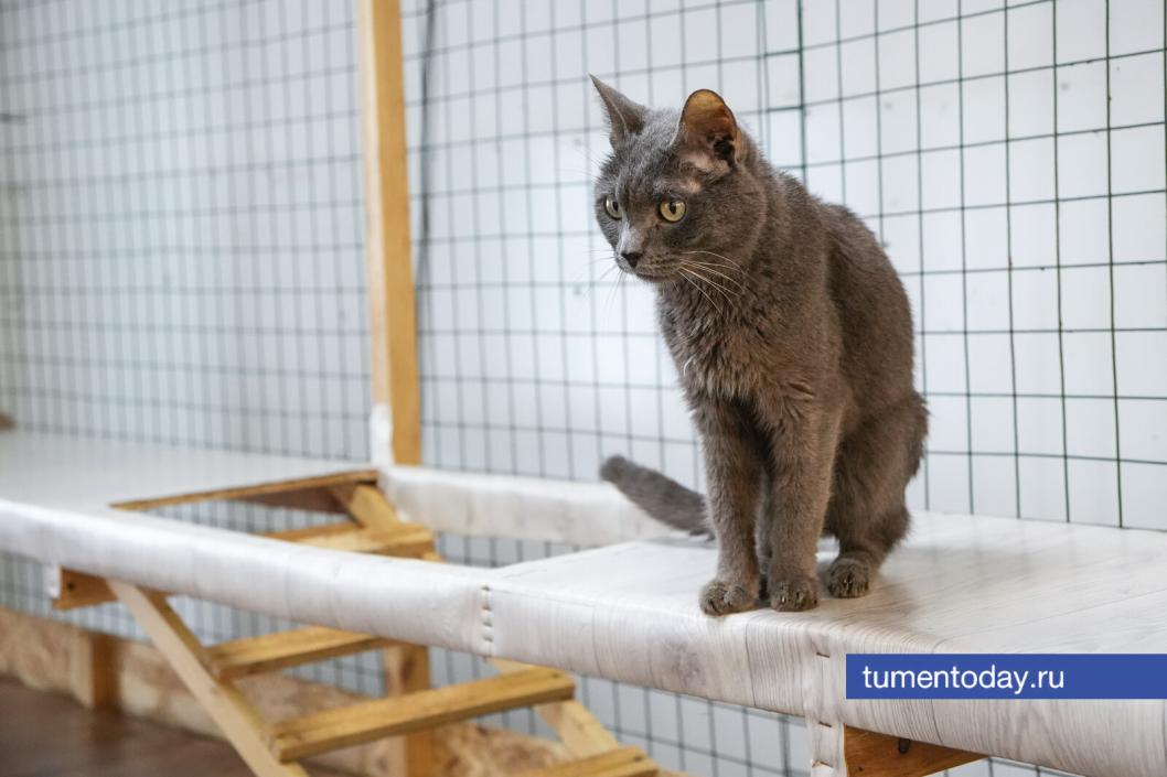 Фото Екатерины Христозовой