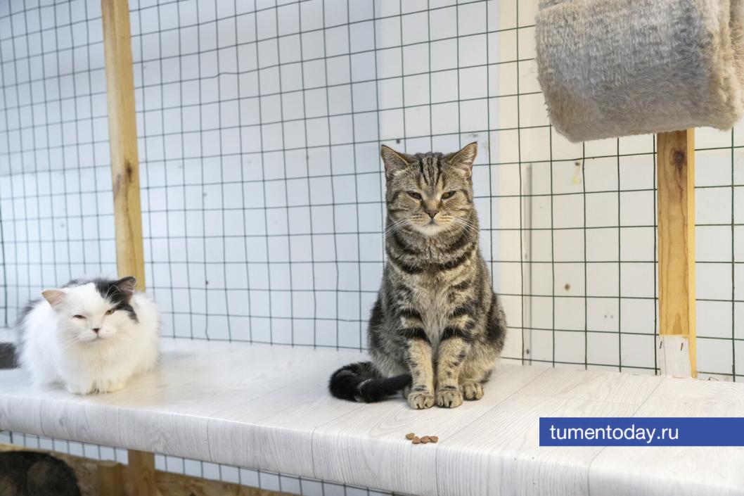 Фото Екатерины Христозовой