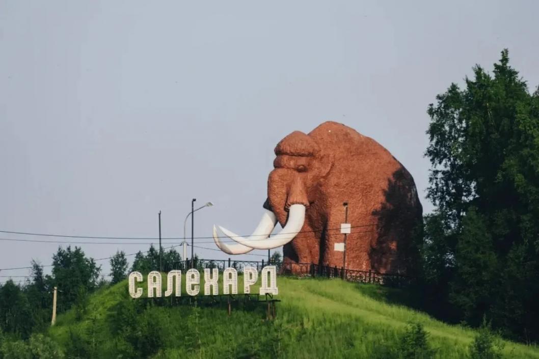 Фото из канала Фуата Сайфитдинова, автор неизвестен