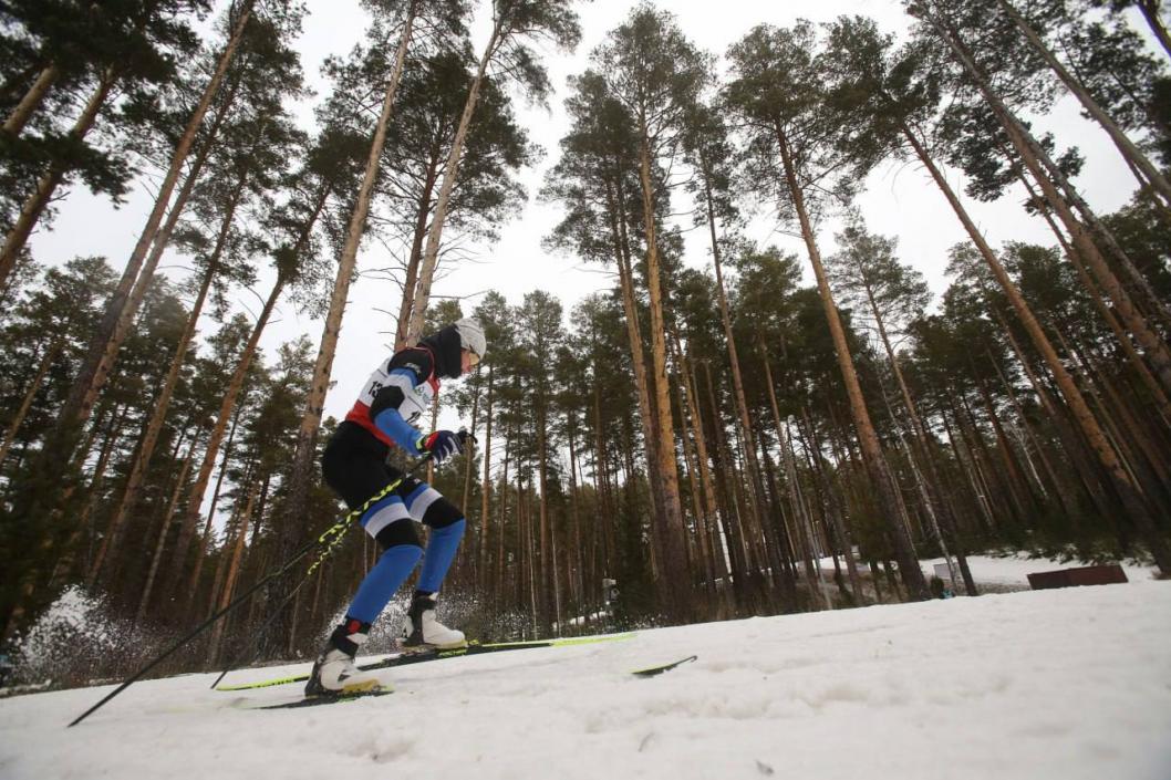 Фото из телеграм-канала Александра Моора