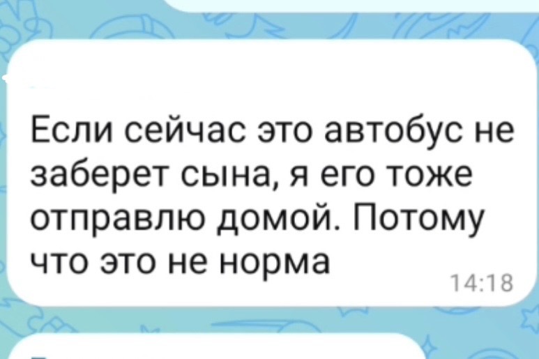 Фото: скриншот из родительского чата
