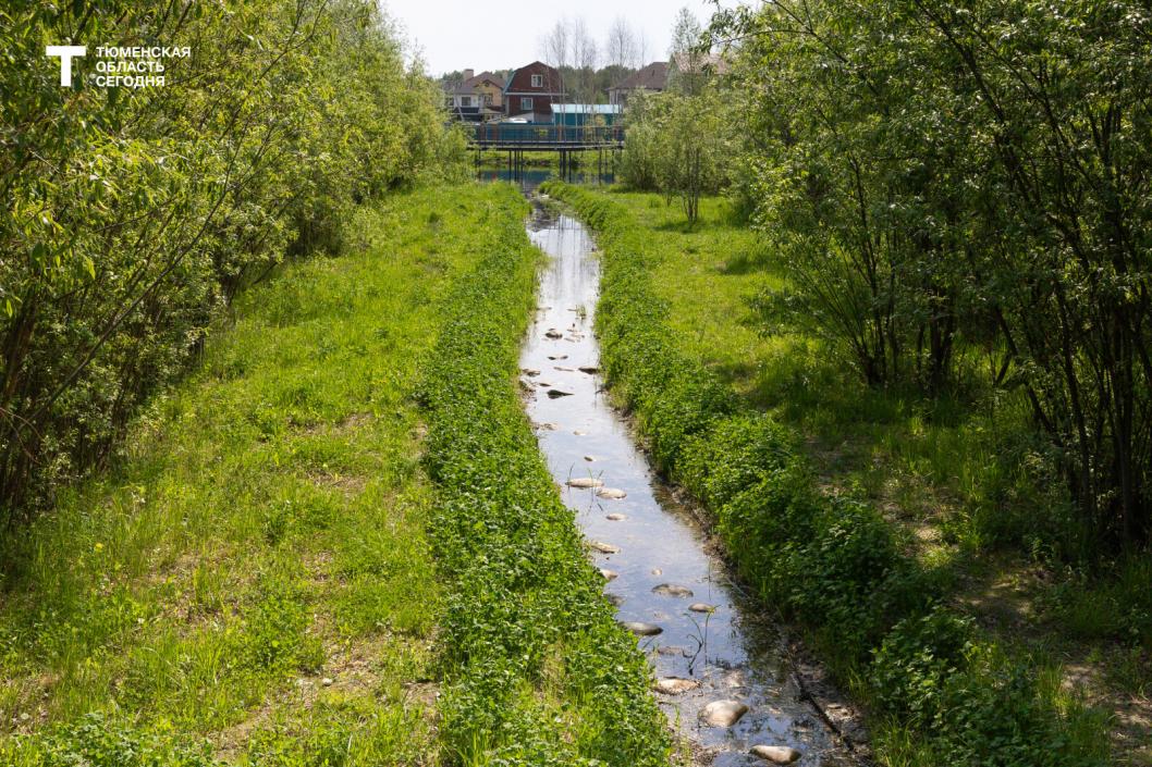 Фото Дениса Моргунова