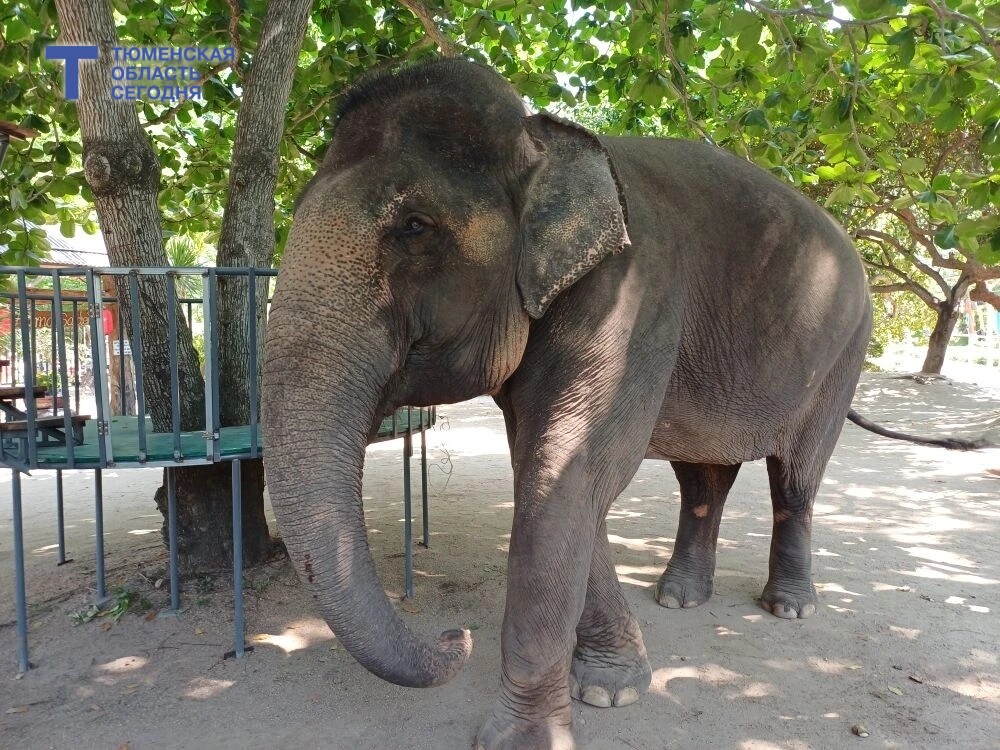 Фото Виталия Лазарева