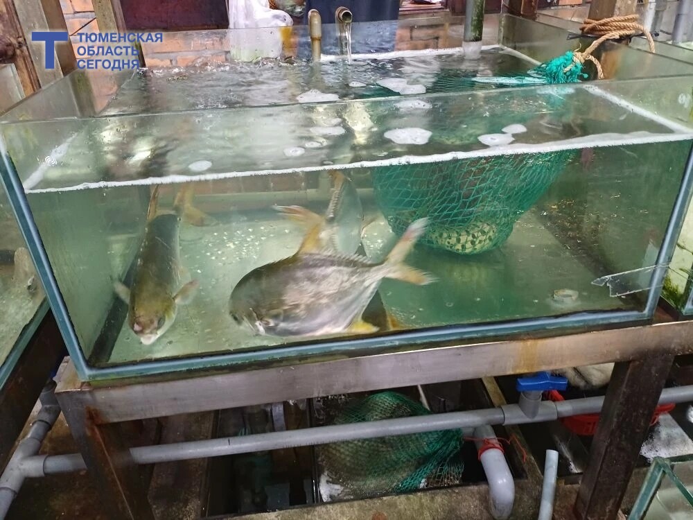 Фото Виталия Лазарева