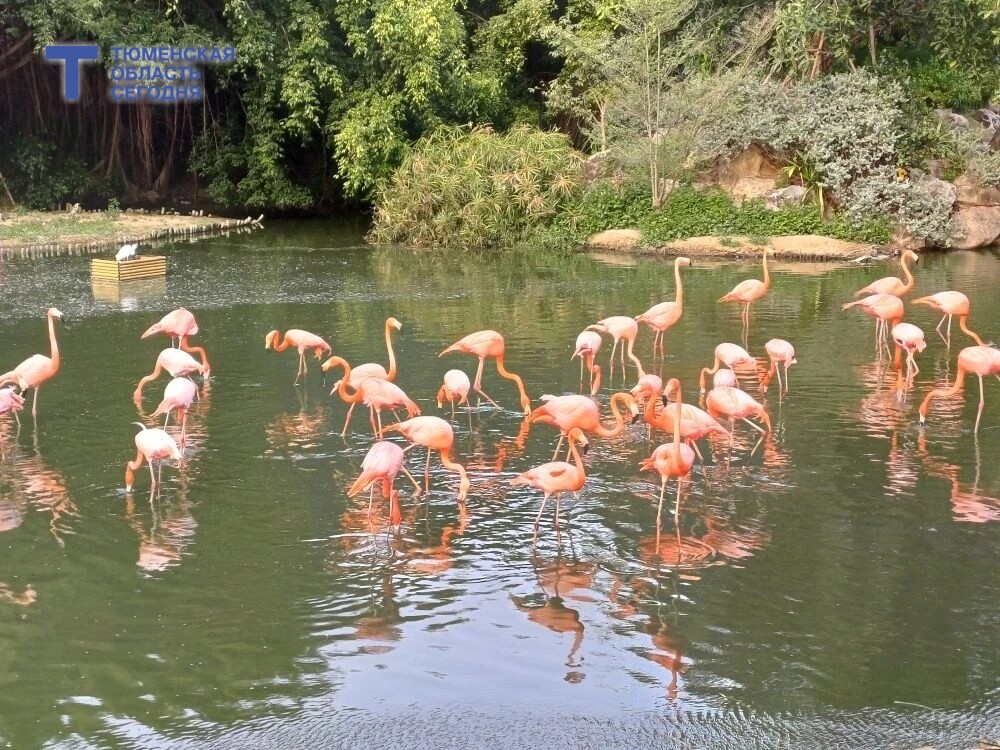 Фото Виталия Лазарева