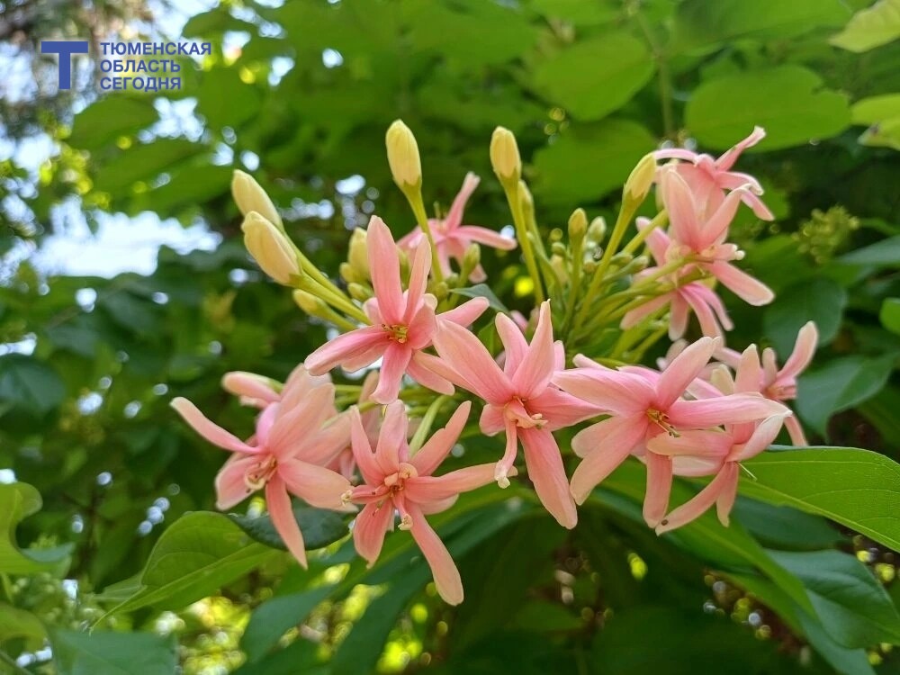 Фото Виталия Лазарева