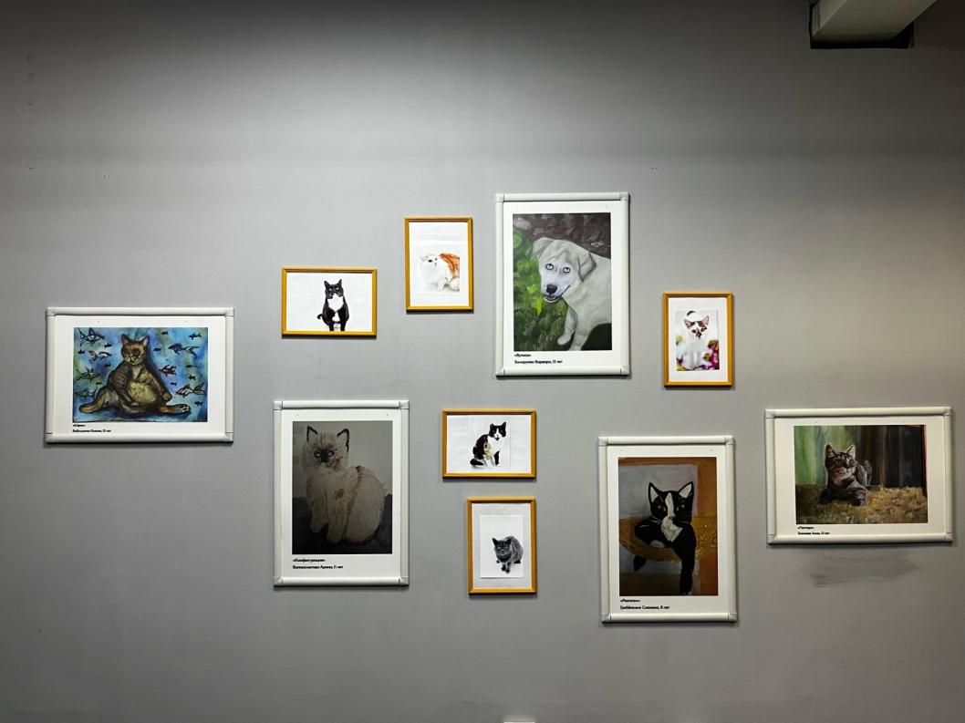 Фото благотворительного фонда помощи животным «Потеряшки»