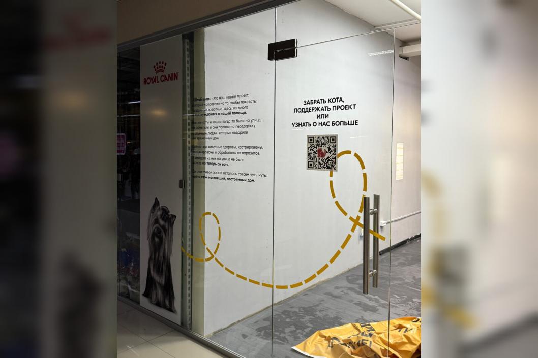 Фото благотворительного фонда помощи животным «Потеряшки»