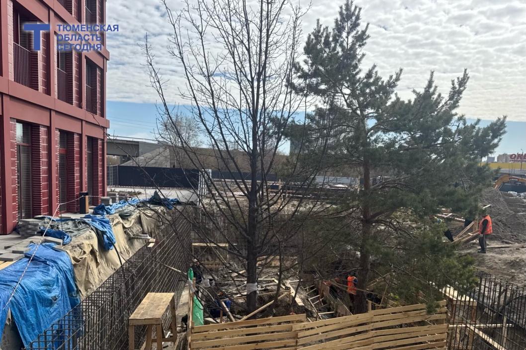 Фото Мадины Титовой