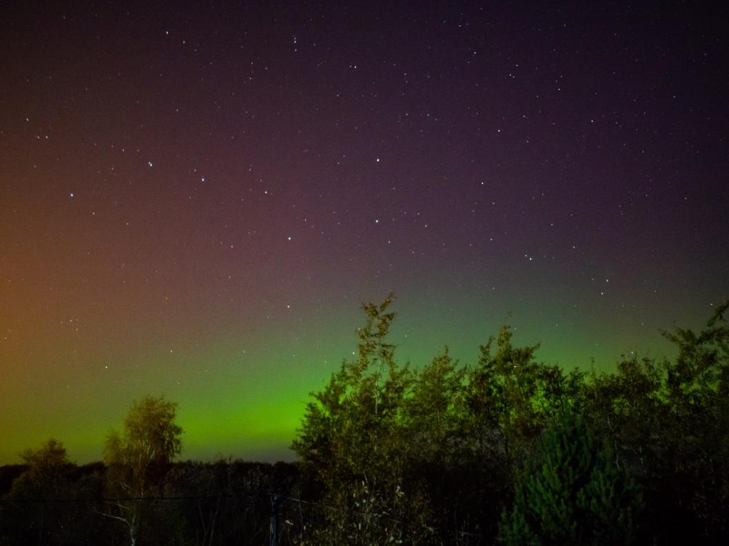 Фото предоставлено Евгением Бушуевым