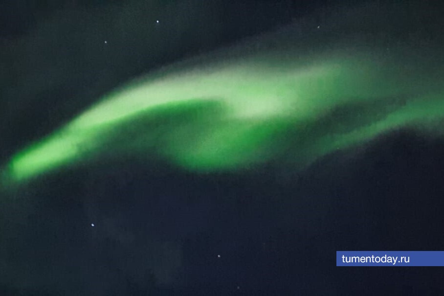 Фото Елены Ковалевой 