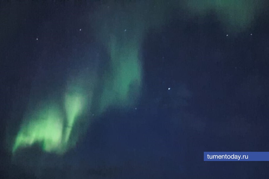 Фото Елены Ковалевой 