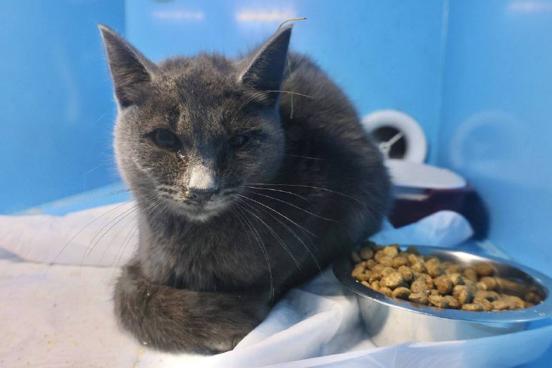 Фото пресс-службы администрации Тобольска 